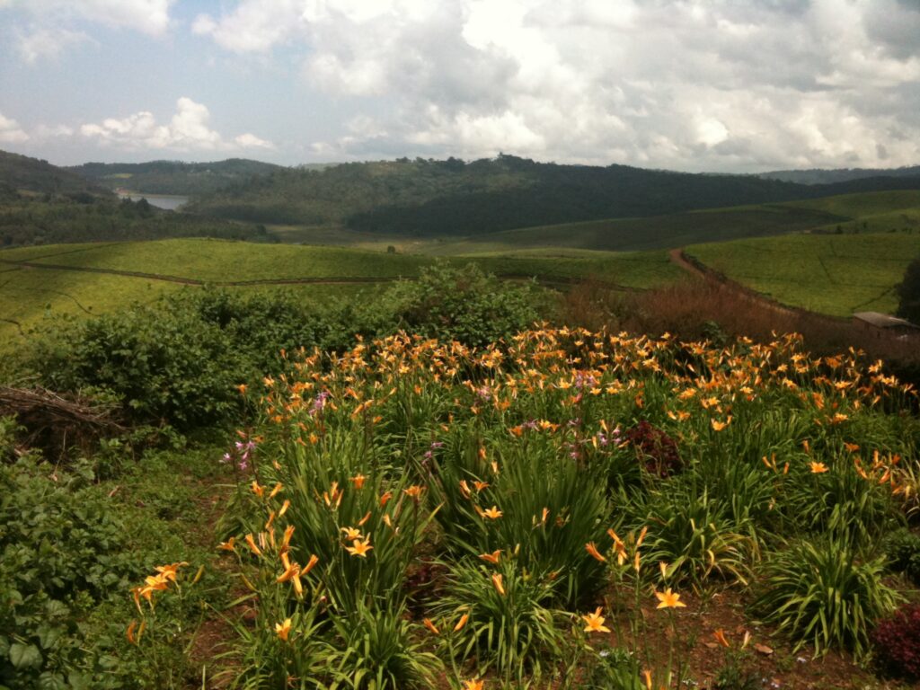 Collines du Burundi